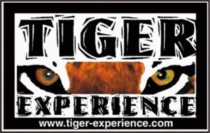 0000_LOGO TIGER
